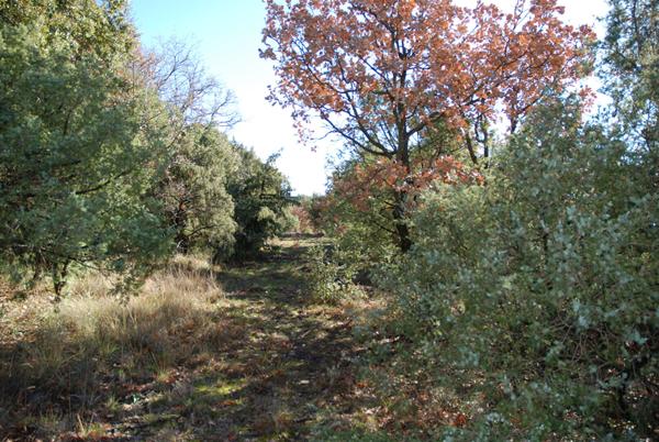 A VENDRE EN EXCLUSIVITE ! Beau terrain plat de 1457m² à BEAUDINARD SUR VERDON