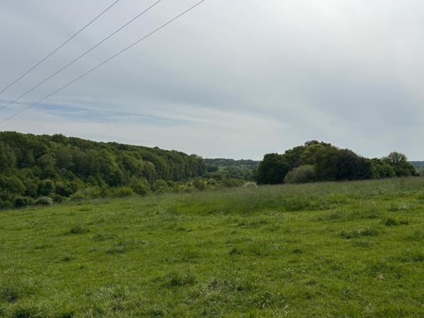 Panorama rare,un potentiel à la hauteur de vos envies !