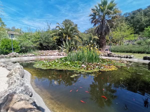 Hyères (83400) Propriété exceptionnelle sur Hyères.