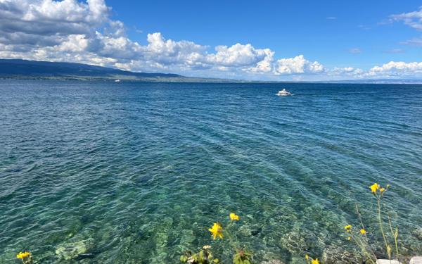 Terrain à vendre    Nernier