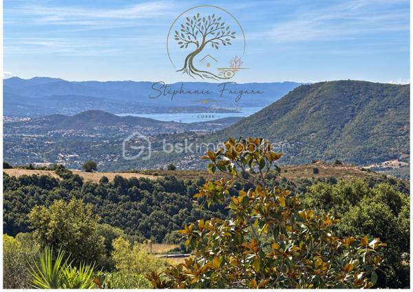 Au cœur du charmant village d’Appieto, cette demeure de caractère mitoyenne d’un côté séduit par son authenticité, son cachet et son atmosphère chaleureuse.
Extrêmement bien entretenue, cette maison offre de beaux volumes répartis sur quatre niveaux, ainsi qu’une remarquable vue sur le golfe d’Ajaccio et le golfe de Lava.
La maison se compose de quatre chambres, d’un salon avec cheminée, d’une cuisine dinatoire, et bénéficie notamment de parquets au sol qui participent pleinement à son charme.
Un terrain de 365 m², véritable atout en cœur de village, permet d’envisager la création d’un agréable espace extérieur : terrasse, jardin paysager, espace détente ou encore installation d’un spa, selon les envies.
La maison dispose également de la climatisation réversible ainsi que de l’ensemble des équipements nécessaires au confort quotidien.
Une propriété pleine de charme et de caractère, parfaitement entretenue, offrant un cadre de vie privilégié à proximité immédiate d’Ajaccio et bénéficiant d’un panorama exceptionnel sur les deux golfes.
