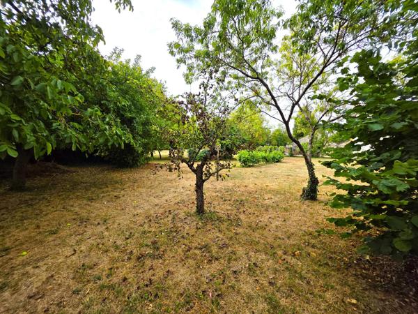 Maison de bourg, sa vie de plain-pied, ses 6 chambres et son terrain en coeur de village !