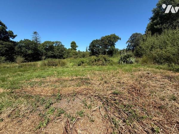 A VENDRE PARCELLES MARTINVAST