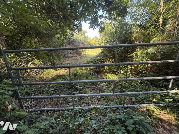 A VENDRE PARCELLES MARTINVAST