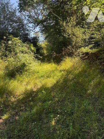 A VENDRE PARCELLES MARTINVAST