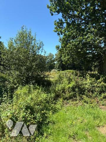 A VENDRE PARCELLES MARTINVAST