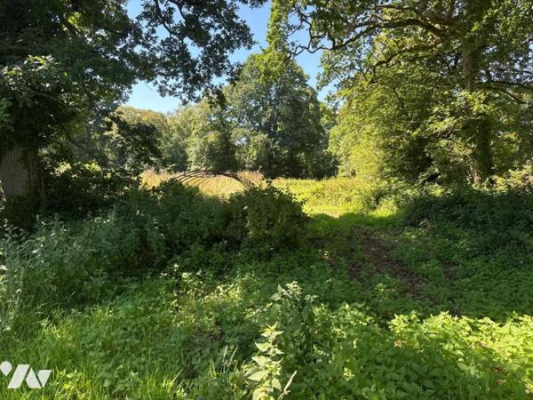 A VENDRE PARCELLES MARTINVAST