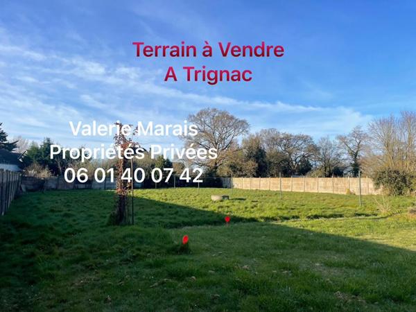 Terrain à Ventre - TRIGNAC
