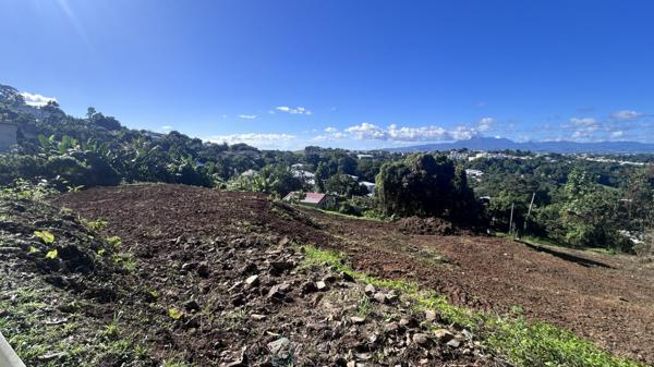 Beau Terrain constructible de 800 m2 situé au centre(DUCOS).