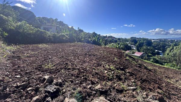 Beau Terrain constructible de 800 m2 situé au centre(DUCOS).