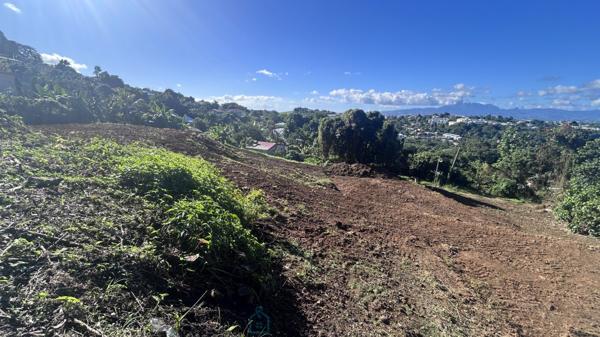 Beau Terrain constructible de 800 m2 situé au centre(DUCOS).