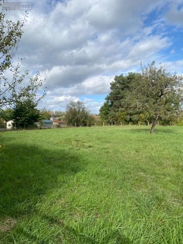 Terrain à Batir à vendre à Vendoeuvres dans l'Indre (36500), ref : 1044069/1