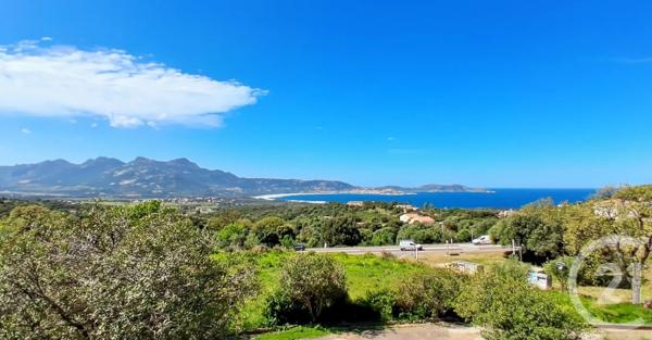 Appartement T4 à vendre  4 pièces - 85,60 m 2   LUMIO  - 202
