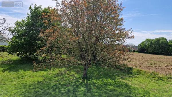 Achat - Maison Morlaix 29600 6 pièces 124 m 2 3900 m 2