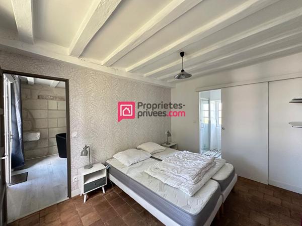 Maison ancienne Chinon 12 pièce(s) 275m2 avec 3 gîtes et terrain 2,5ha