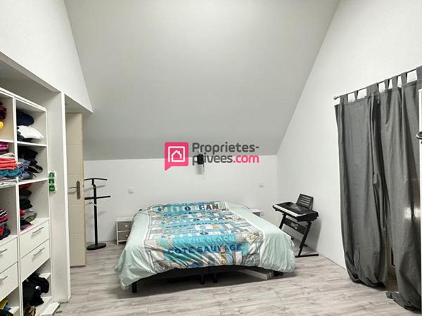 Maison ancienne Chinon 12 pièce(s) 275m2 avec 3 gîtes et terrain 2,5ha