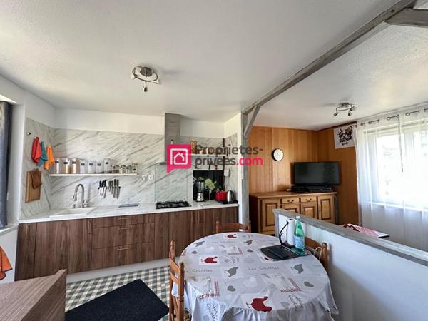 Maison ancienne Chinon 12 pièce(s) 275m2 avec 3 gîtes et terrain 2,5ha