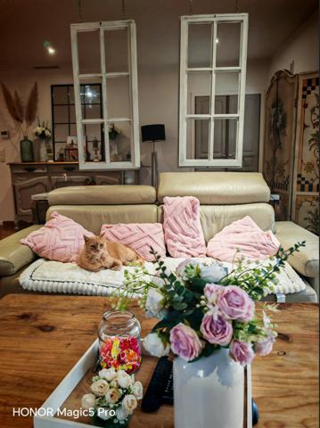 SOLLIÈS-PONT : Villa de Plain-Pied, Piscine & T3 Indépendant