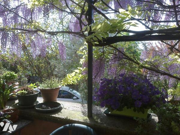 Maison à FORCALQUIER