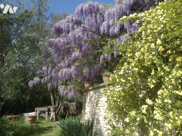 Maison à FORCALQUIER