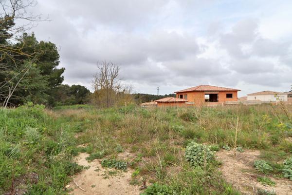 Terrain Narbonne 1636 m2