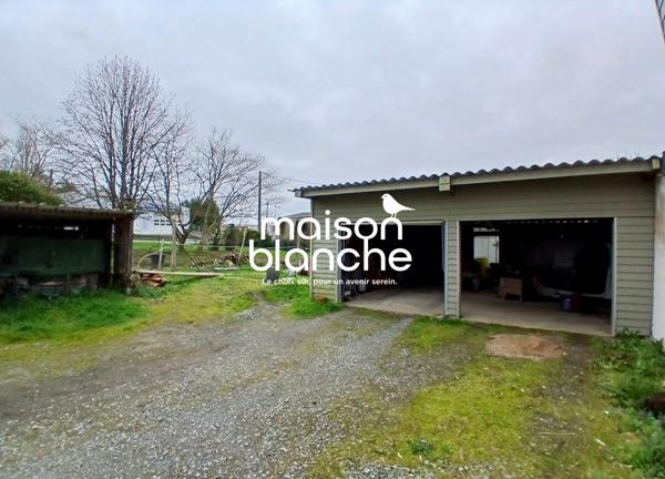 Maison Individuelle, 239.41 m² avec logement indépendant