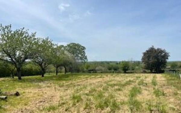 Terrain à vendre    Sauveterre-de-Rouergue