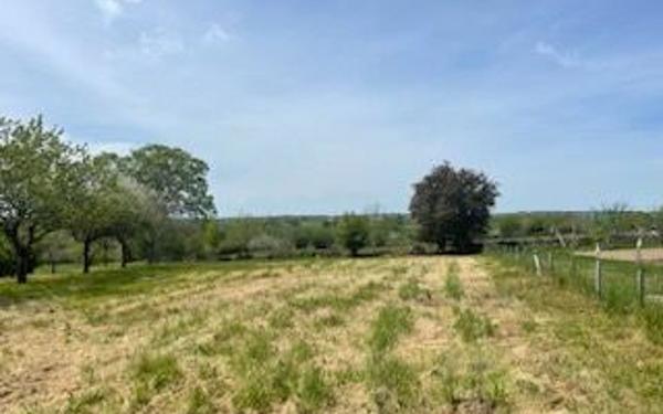 Terrain à vendre    Sauveterre-de-Rouergue