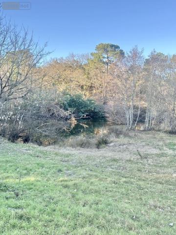 Maison à vendre à Mimizan dans les Landes (40200), ref : 40007-87