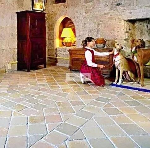 PUYLAROQUE – cœur de bastide, local en pierres 56 m² + cave voûtée