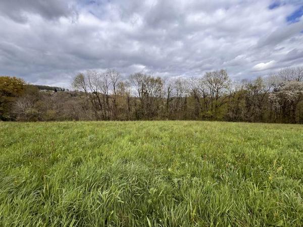 Terrain à vendre 64 960 € Sainte-Féréole 2452 m² DPE