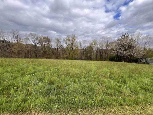 Terrain à vendre 64 960 € Sainte-Féréole 2452 m² DPE