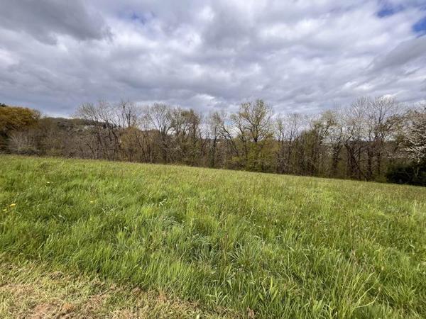 Terrain à vendre 64 960 € Sainte-Féréole 2452 m² DPE
