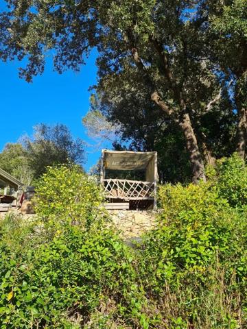 Vente                                                      Terrain
                        
                                         442 m2                     à Fréjus