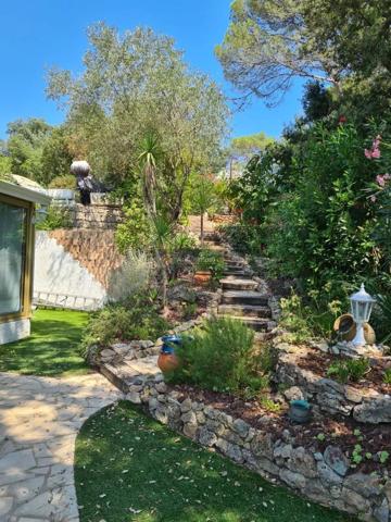 Vente                                                      Terrain
                        
                                         442 m2                     à Fréjus