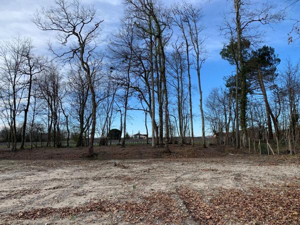 Terrain à bâtir libre de constructeur 2183 m2