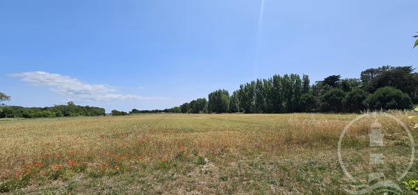 Charmante maison de village sur grand jardin clos