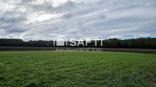 Terrain constructible