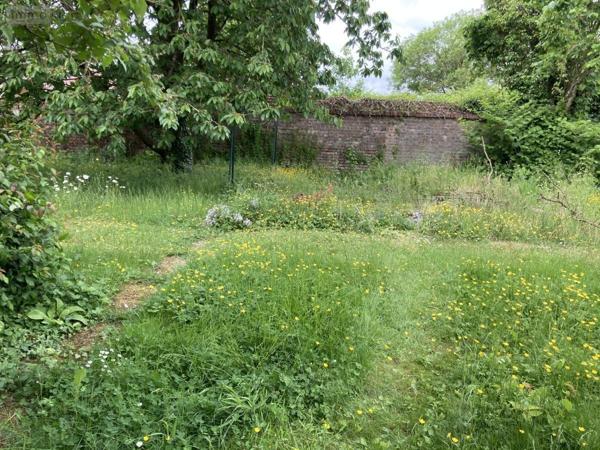 Maison à vendre à Bucquoy dans le Pas-de-Calais (62116), ref : 62003-967