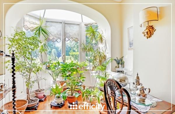 Appartement 6 pièces - 165 m² Bien prestige