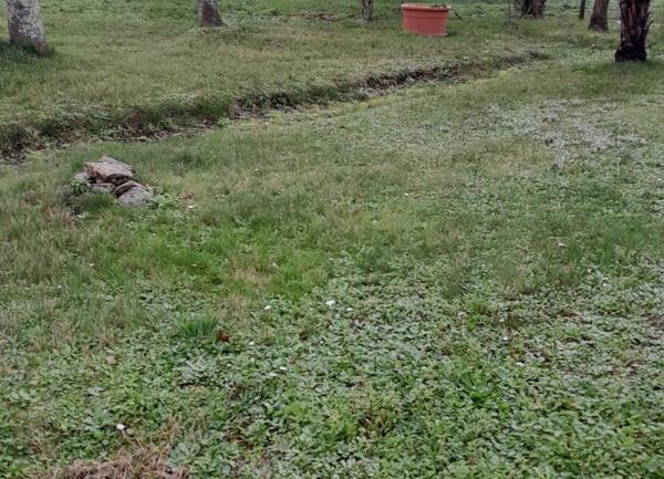 Maison à vendre    6 pièces • 151,13 m2 La Baule-Escoublac