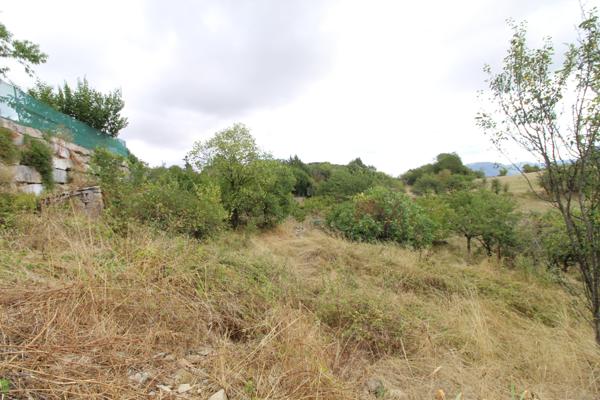 Saint-Affrique (12400) MAISON 175m² SCINDEE EN 2 LOGEMENTS AVEC COUR et CAVE