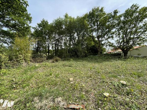 TERRAIN A BATIR ET PARCELLE AGRICOLE ATTENANTE CENTRE BOURG