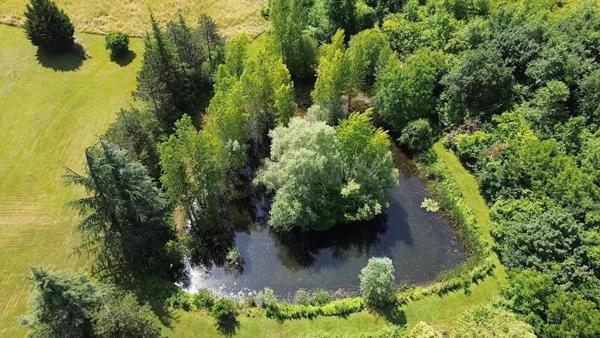 Havre de paix avec étang privé