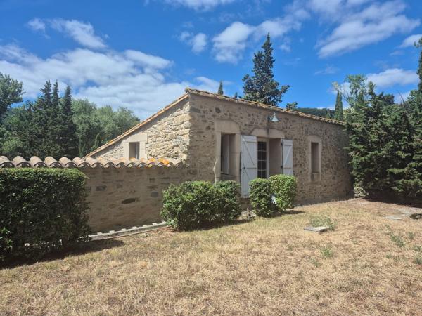 Vente Château Carcassonne 31 Pièces 1200 m²