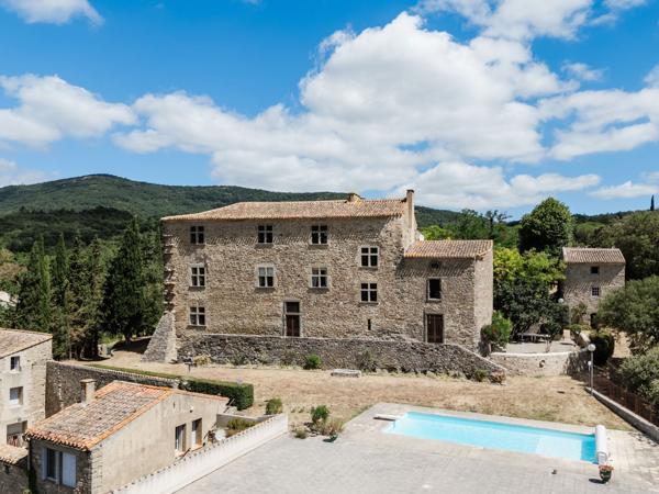 Vente Château Carcassonne 31 Pièces 1200 m²
