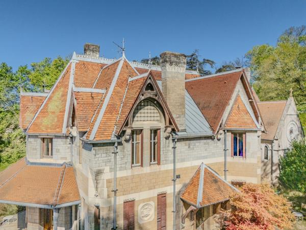 Vente Château Reyrieux 22 Pièces 680 m²