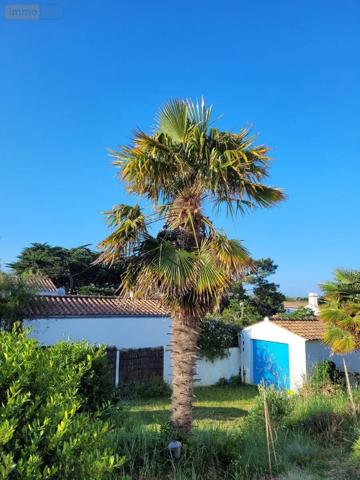 Achat - Maison | Villa Noirmoutier-en-l'Île 85330 8 pièces 134 m 2 600 m 2