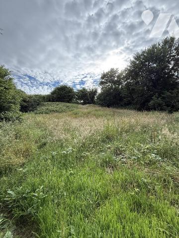 Achat Terrain agricole A Vendre avec dépendance 