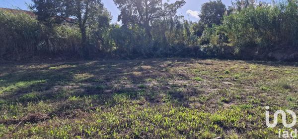 Terrain à vendre 887 m² Baho